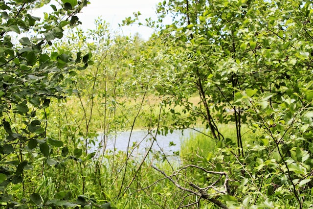 94 Blaisdell Rd, Newport, ME 04953 - water view