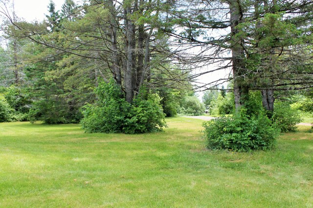 94 Blaisdell Rd, Newport, ME 04953 - view of green lawn with a forest view