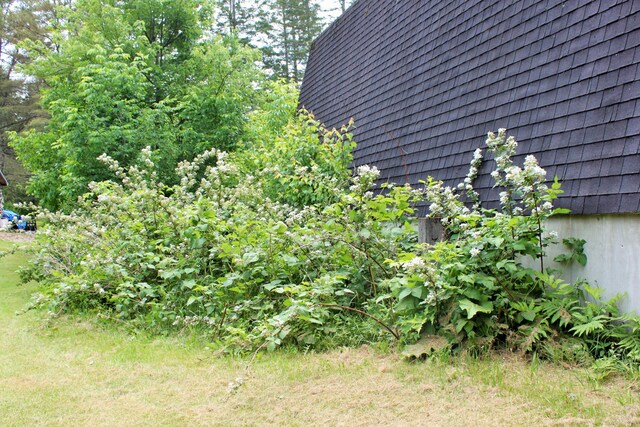 94 Blaisdell Rd, Newport, ME 04953 - view of yard
