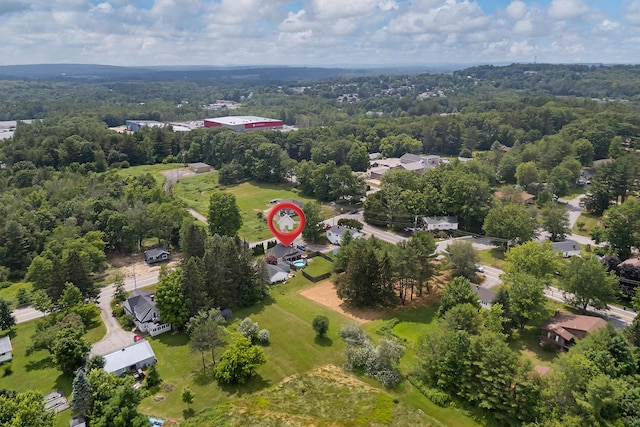 736 Webster St, Lewiston, ME 04240 - aerial view of a forest