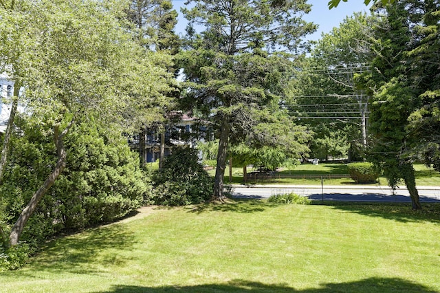 239 Ocean Point Rd, Boothbay, ME 04544 - view of yard