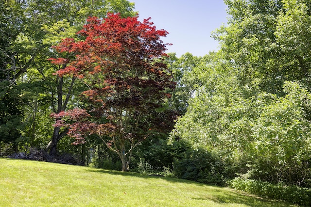 239 Ocean Point Rd, Boothbay, ME 04544 - view of grassy yard