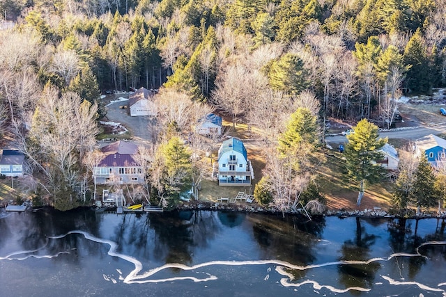 36 Worcester Way, Lincoln, ME 04457 - bird's eye view of a nearby body of water