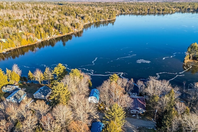 36 Worcester Way, Lincoln, ME 04457 - drone / aerial view of a nearby body of water and a forest