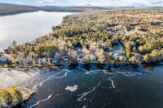36 Worcester Way, Lincoln, ME 04457 - bird's eye view of a nearby body of water and a forest