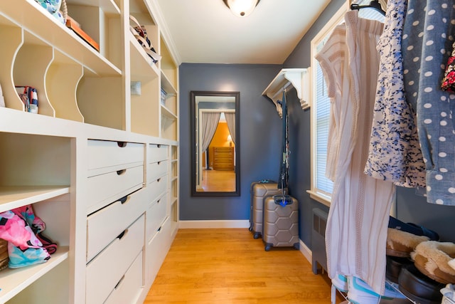 36 Woodlawn Ave, Auburn, ME 04210 - walk in closet featuring light wood-type flooring and radiator