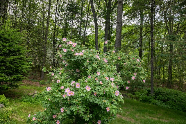 5 Woodridge Rd, Brewer, ME 04412 - photo 16