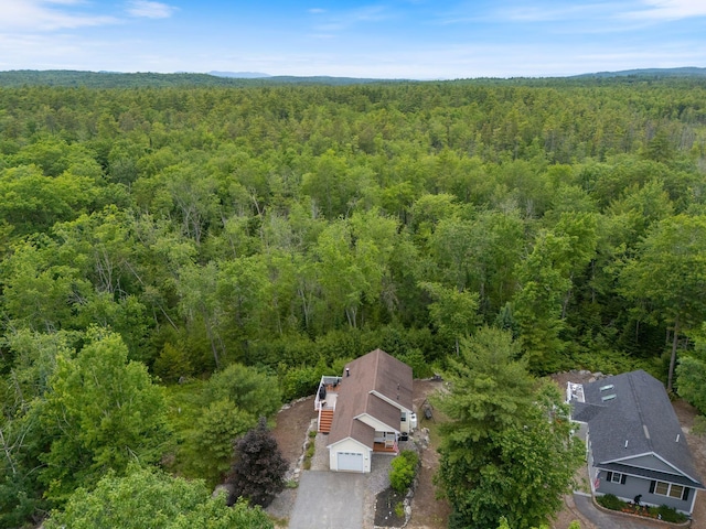 1313 Deer Run, Casco, ME 04015 - view from above of property featuring a heavily wooded area