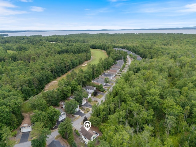1313 Deer Run, Casco, ME 04015 - aerial view of property and surrounding area featuring a forest and a large body of water
