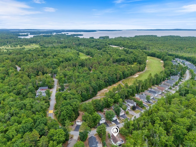 1313 Deer Run, Casco, ME 04015 - aerial overview of property's location with a large body of water