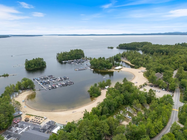 1313 Deer Run, Casco, ME 04015 - drone / aerial view of a nearby body of water