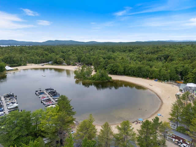 1313 Deer Run, Casco, ME 04015 - bird's eye view of a forest and a water and mountain view