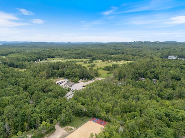 1313 Deer Run, Casco, ME 04015 - aerial view of a heavily wooded area