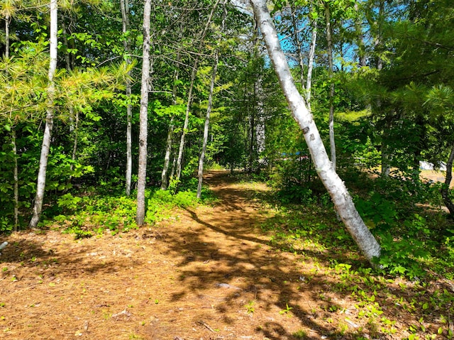 160 Brickyard Hill Rd, Bridgton, ME 04009 - photo 15