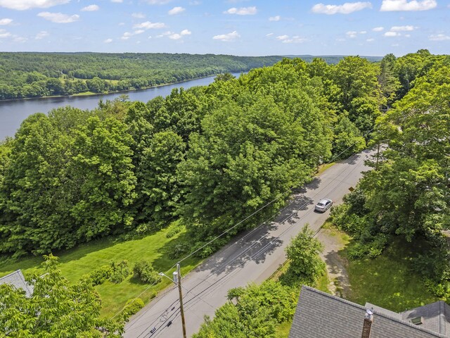 33 Greenville St, Hallowell, ME 04347 - photo 49