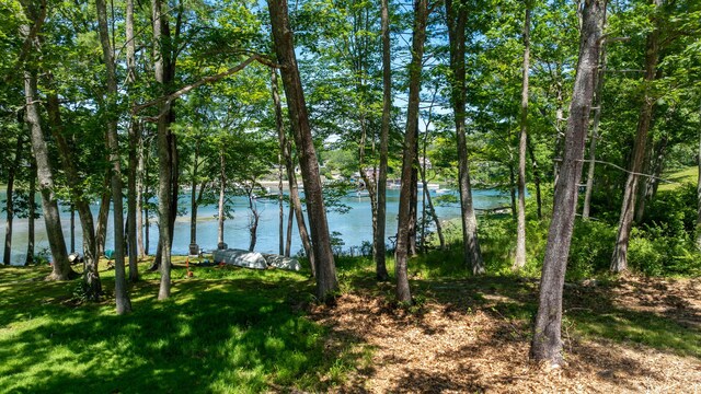 50 Seabury Rd, York, ME 03909 - photo 50