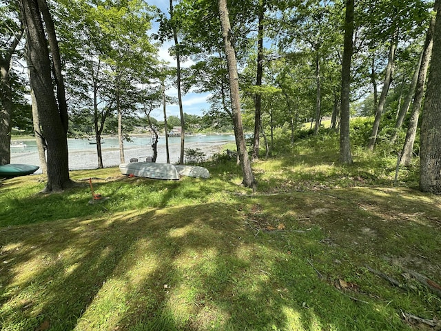 50 Seabury Rd, York, ME 03909 - photo 65
