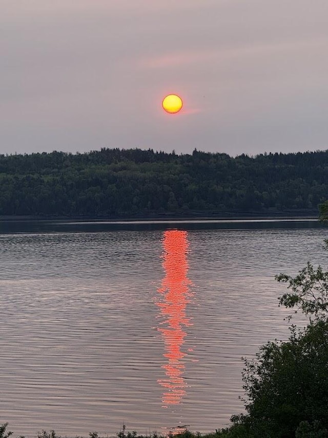 631 US Rt 1, Robbinston, ME 04671 - water view featuring a forest