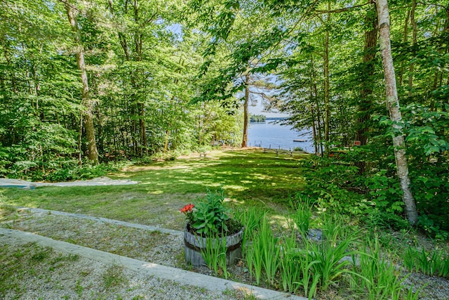 237 Thompson Lake Shores Rd, Casco, ME 04015 - photo 70