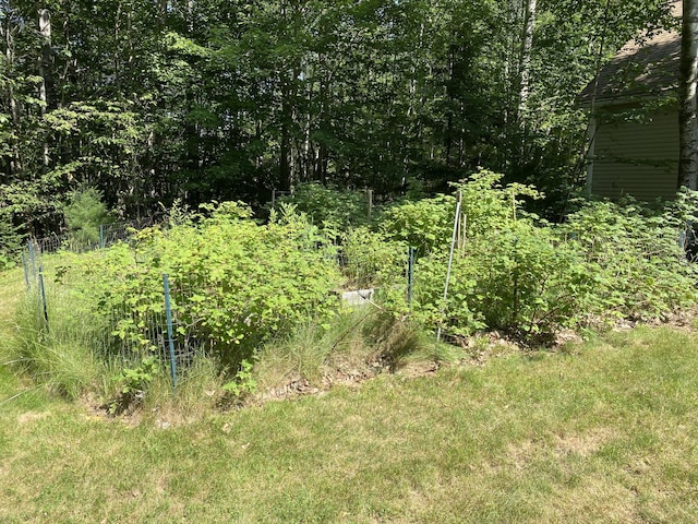 48 Stoney Ridge Rd, Eddington, ME 04428 - view of nature