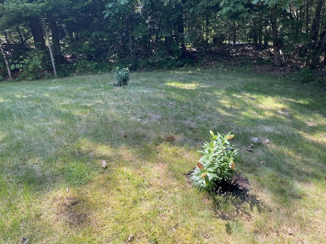 48 Stoney Ridge Rd, Eddington, ME 04428 - view of green lawn