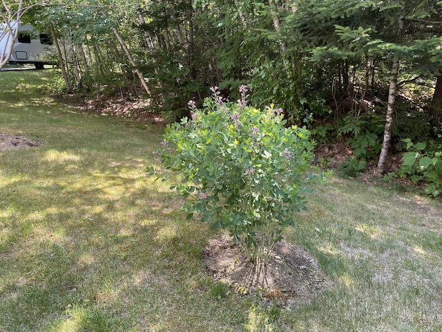 48 Stoney Ridge Rd, Eddington, ME 04428 - view of green lawn