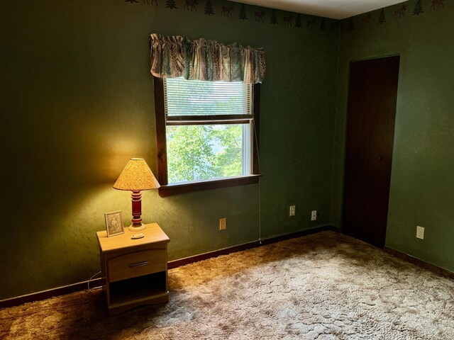 176 Charlotte Rd, Charlotte, ME 04666 - photo 75