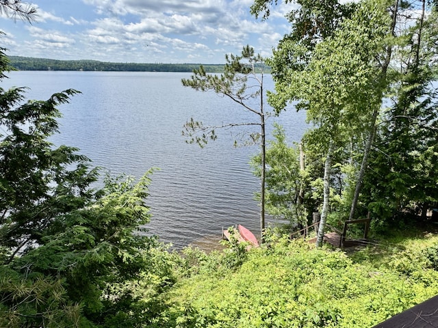 176 Charlotte Rd, Charlotte, ME 04666 - photo 19