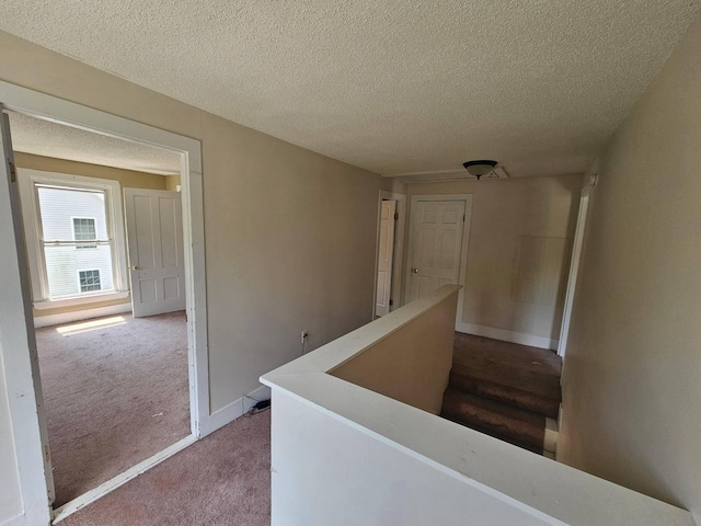 25 Margin St, Orono, ME 04473 - photo 9