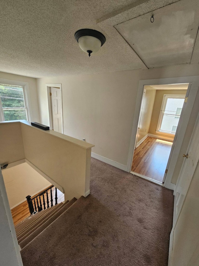 25 Margin St, Orono, ME 04473 - photo 10
