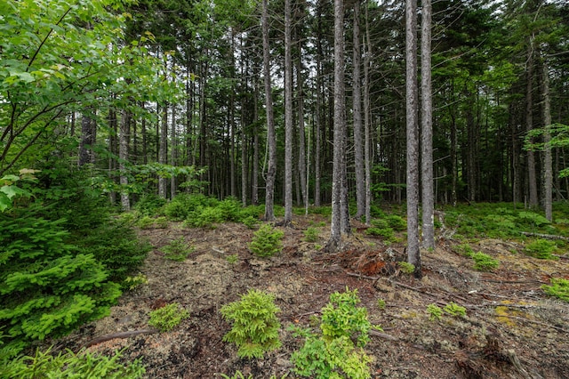 LOT40 Estates Rd, Steuben, ME 04680