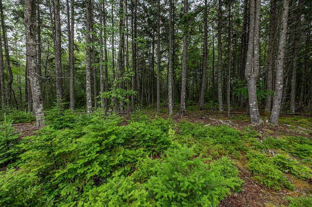 LOT40 Estates Rd, Steuben, ME 04680