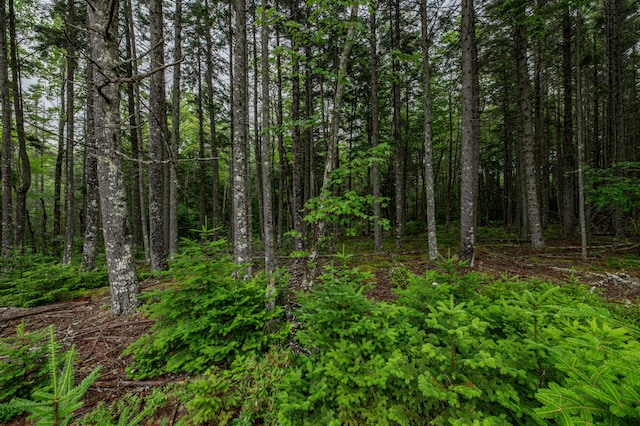 LOT40 Estates Rd, Steuben, ME 04680