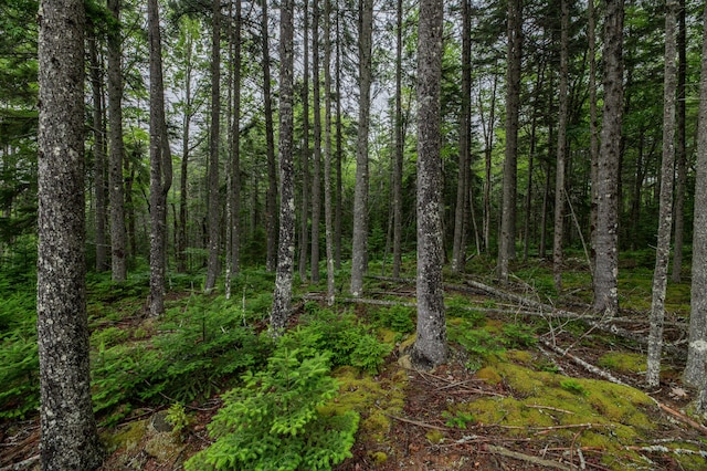 LOT40 Estates Rd, Steuben, ME 04680