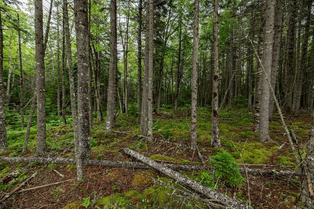 LOT40 Estates Rd, Steuben, ME 04680
