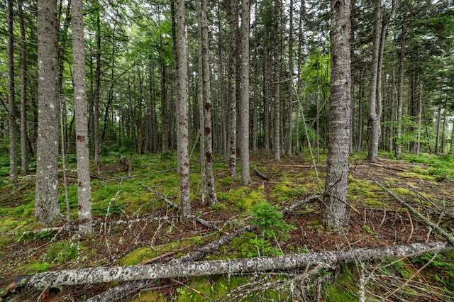 LOT40 Estates Rd, Steuben, ME 04680