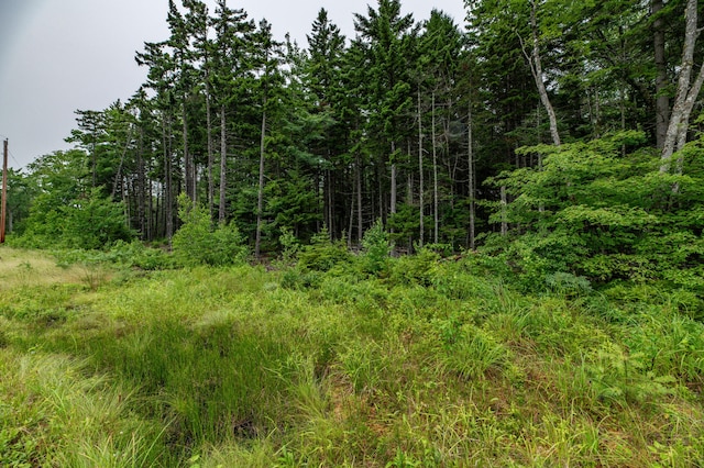 LOT40 Estates Rd, Steuben, ME 04680