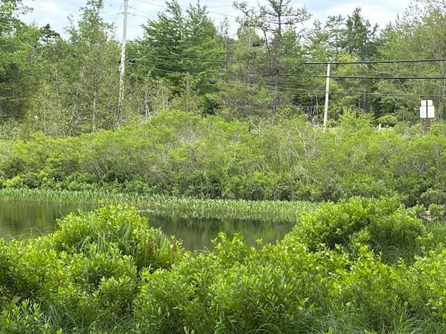 0 Dead Strm, Cooper, ME 04657 - photo 2