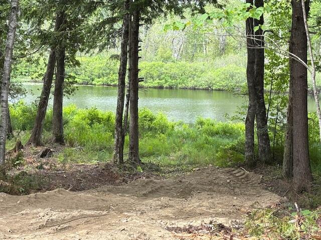 0 Dead Strm, Cooper, ME 04657 - photo 3