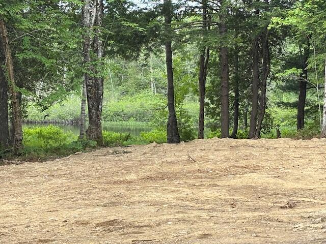 0 Dead Strm, Cooper, ME 04657 - photo 4