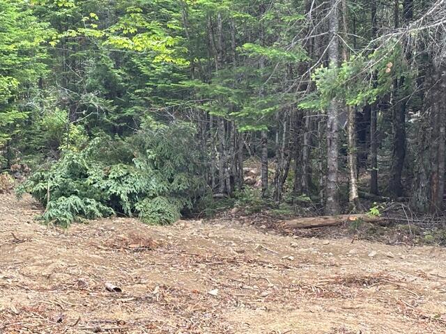 0 Dead Strm, Cooper, ME 04657 - photo 8