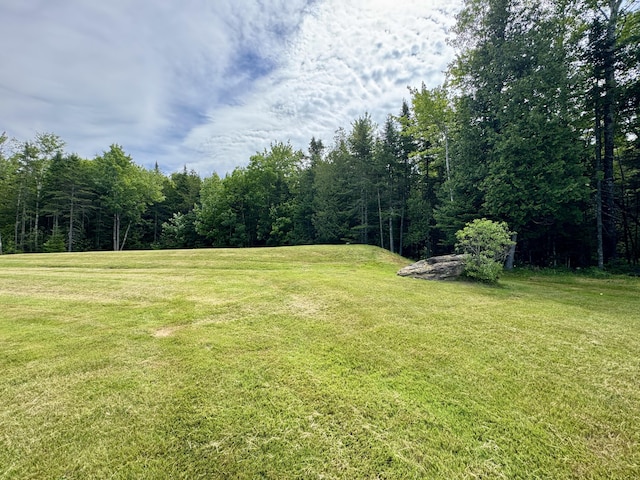 35A Birchbrook Ln Unit 35A, Levant, ME 04456 - view of grassy yard with a view of trees