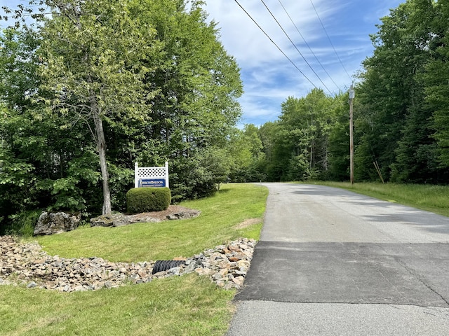 35A Birchbrook Ln Unit 35A, Levant, ME 04456 - view of asphalt road