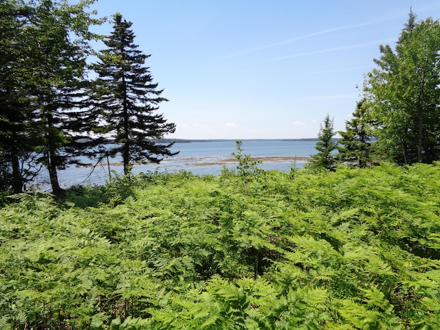 143B Rocky Gulch Rd, Steuben, ME 04680