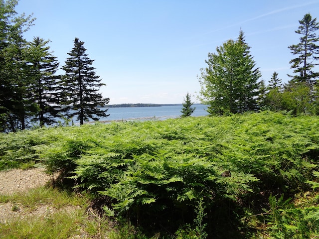 143B Rocky Gulch Rd, Steuben, ME 04680