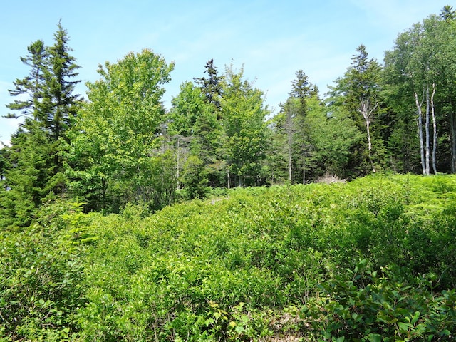143B Rocky Gulch Rd, Steuben, ME 04680