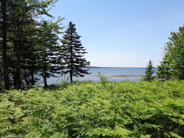 143B Rocky Gulch Rd, Steuben, ME 04680