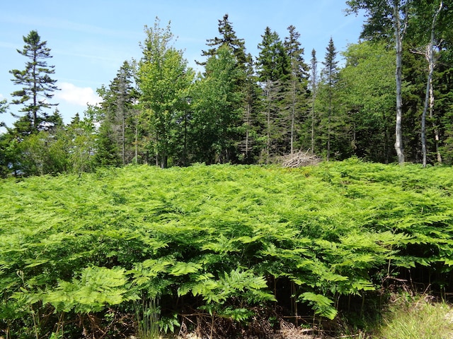 143B Rocky Gulch Rd, Steuben, ME 04680