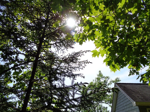 143B Rocky Gulch Rd, Steuben, ME 04680