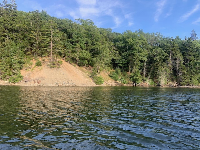 052 Pioneer Farm Way, Ellsworth, ME 04605